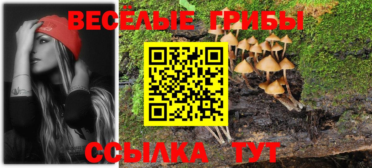 Псилоцибиновые грибы Москва